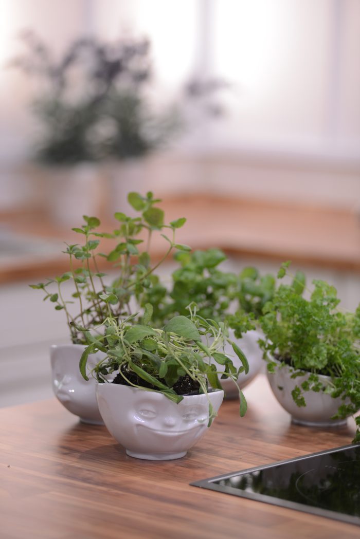 KRAEUTER_KOEPFE_03_kl