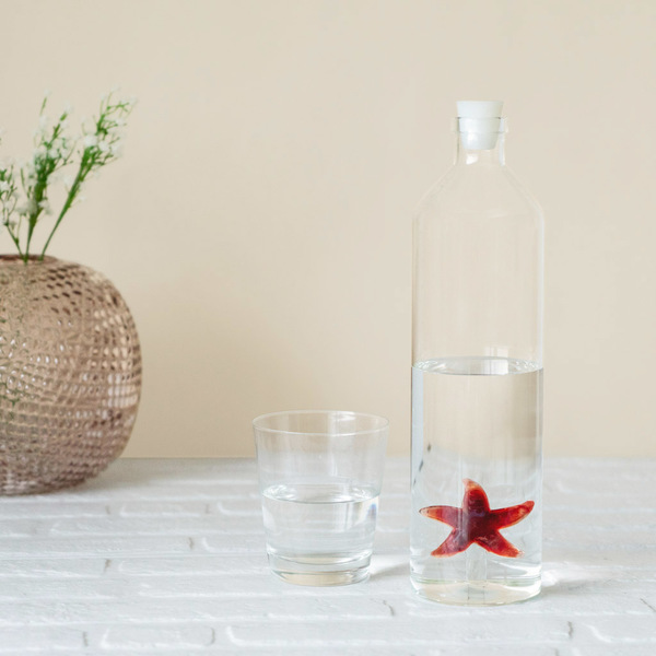 Balvi STELLA MARINA bottiglia 1,2L