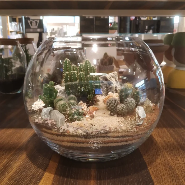 TerraViva terrario Sfera L desert