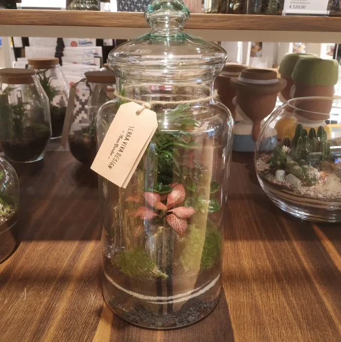 TerraViva terrario Byron L Bosco