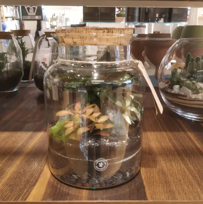 TerraViva terrario Byron M Bosco