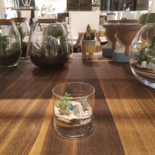 TerraViva terrario Cilindro XS desert