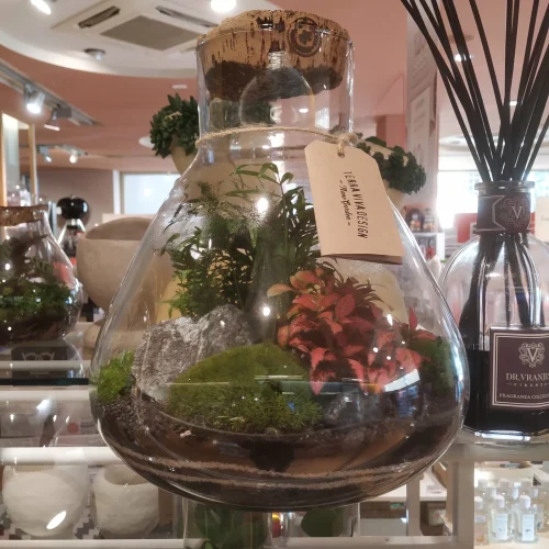 TerraViva terrario Vulcano