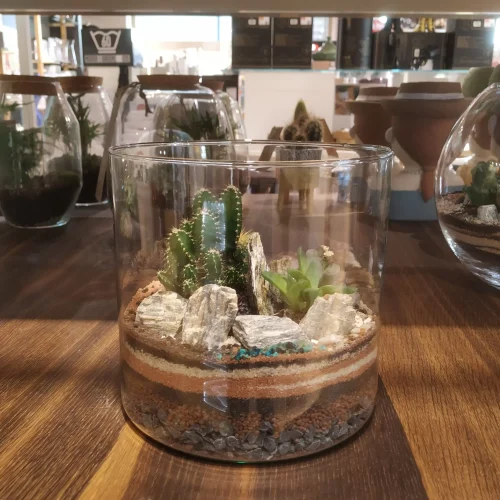 TerraViva terrario Cilindro M desert
