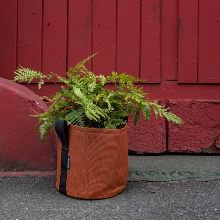 Bacsac Pot tondo 10 lt