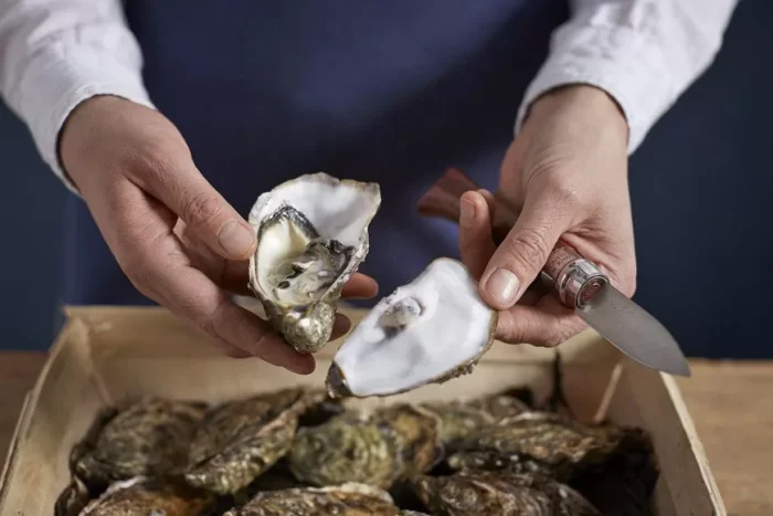 Opinel Coltello per ostriche e conchiglie