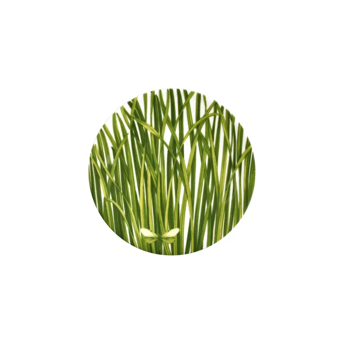 Taitù LIFE IN GREEN Piattino 17cm