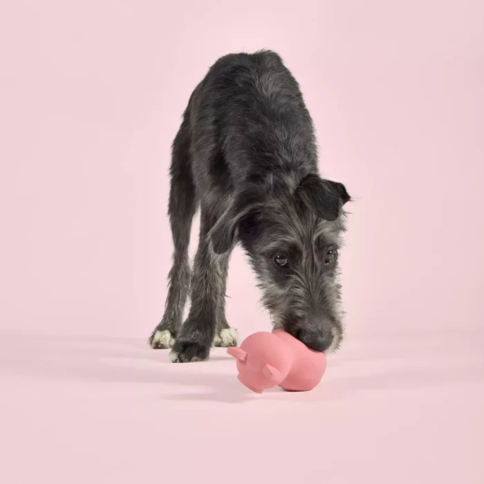 United Pets Pigs Pinky gioco in lattice per cane