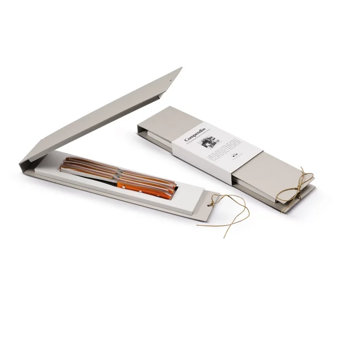 Berti Coltellerie Compendio set 6 coltelli tavola arancio arancio