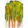 Taitù DIETA MEDITERRANEA ERBETTE Piatto portata rettangolare 33x22cm