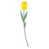 thumb-22.jpeg Vesta Fiore grande - tulipano tulipano