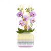 thumb-4-3.jpeg Vesta Profumatore grande con fragranza 200ml - orchidea viola orchidea viola