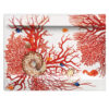 2-3-9-mare-accessories-rectangular-platter-taitu-00.jpg Taitù MARE Piatto portata rettangolare
