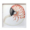 6-3-1-mare-tableau-squared-tray-45x45-taitu-00.jpg Taitù MARE Vassoio quadrato 45x45cm