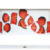 6-3-2-mare-tableau-rectangular-tray-66x33-taitu-01.jpg Taitù MARE Vassoio rettangolare 66x33cm
