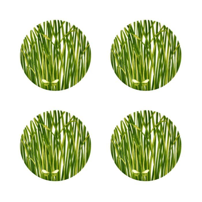 Taitù LIFE IN GREEN Piattino set 4 pezzi