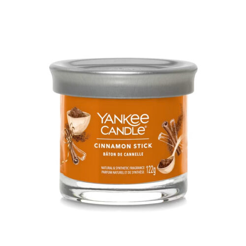 Yankee Candle CINNAMON STICK Signature small tumbler - arancione