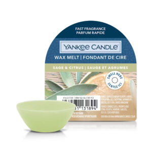 Yankee Candle SAGE & CITRUS Candela votiva - verde