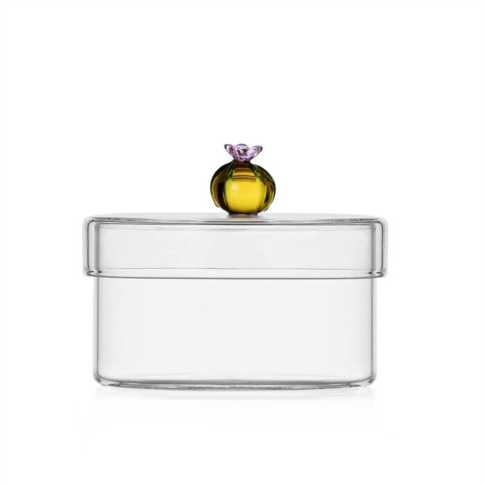 Ichendorf DESERT PLANTS Scatola bassa cactus ambra