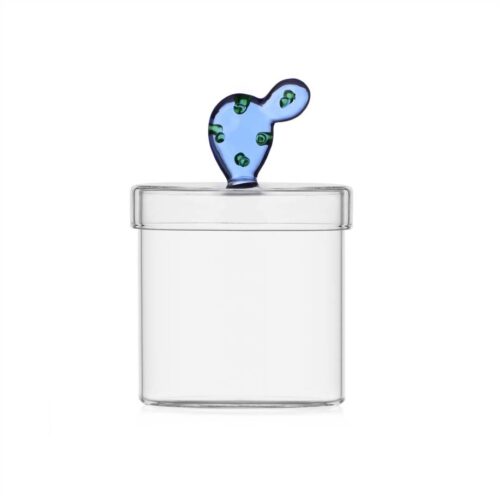 Ichendorf DESERT PLANTS Scatola cactus blu