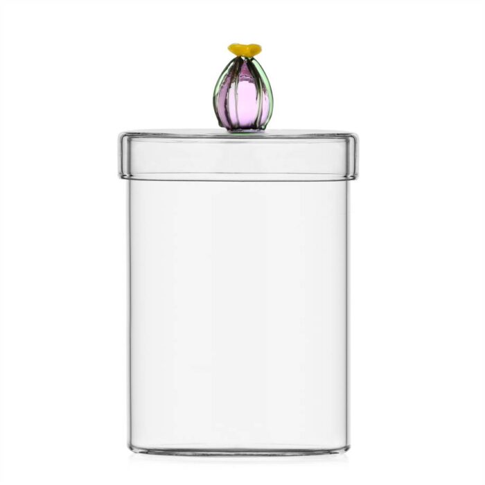 Ichendorf DESERT PLANTS Scatola cactus fiore rosa