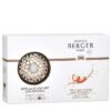 Maison Berger CANNELO PETILLANCE EXQUISE diffusore auto + 1 ricarica