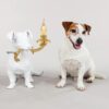 Seletti Luci RIO LAMP Lampada in resina - bianco/dorato