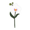 Vesta SPECIAL MOMENTS Fiore mini in cristallo acrilico con confezione regalo - orchidea