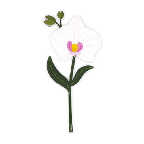Vesta SPECIAL MOMENTS Fiore mini in cristallo acrilico con confezione regalo - orchidea
