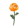 Vesta SPECIAL MOMENTS Fiore mini in cristallo acrilico con confezione regalo - ranuncolo