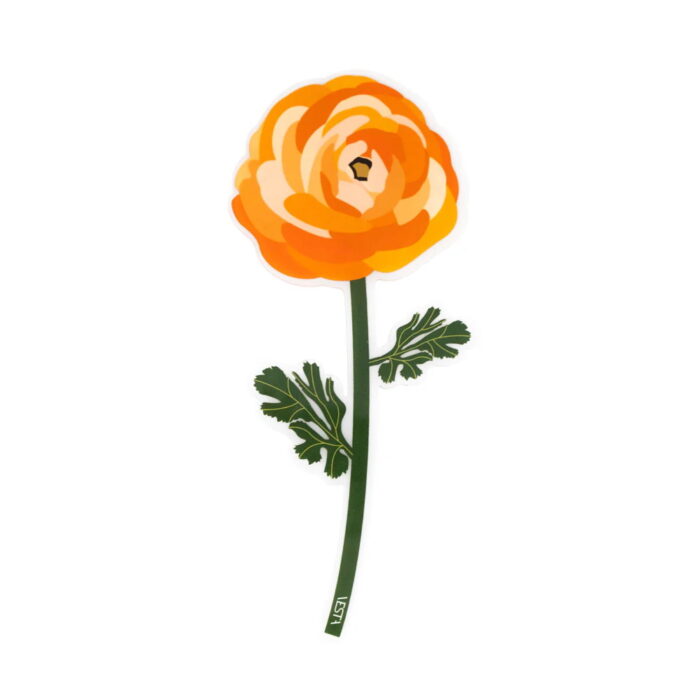 Vesta SPECIAL MOMENTS Fiore mini in cristallo acrilico con confezione regalo - ranuncolo