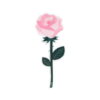 Vesta SPECIAL MOMENTS Fiore mini in cristallo acrilico con confezione regalo - rosa rosa