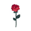 Vesta SPECIAL MOMENTS Fiore mini in cristallo acrilico con confezione regalo - rosa rossa