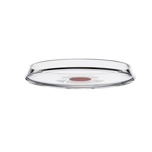 trebonn-splitglass-original-piatto-alzatina-in-vetro-borosilicato-red-1.jpeg Trebonn SPLITGLASS ORIGINAL Piatto/alzatina in vetro borosilicato - red