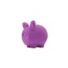 FOTO QUADRATA - 1 United Pets PIGS- Piggy