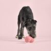 united-pets-pigs-pinky-3.jpg United Pets PIGS- Pinky