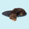 united-pets-tappetino-cani-2.jpg United Pets tappetino cani