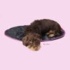 united-pets-tappetino-cani-3-1.jpg United Pets tappetino cani
