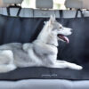 united-pets-telo-auto-2-1.jpg United Pets telo auto