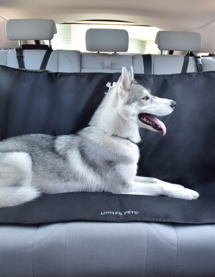 united-pets-telo-auto-2-1.jpg United Pets telo auto