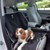 united-pets-telo-auto-2.jpg United Pets telo auto