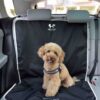 united-pets-telo-auto-3.jpg United Pets telo auto